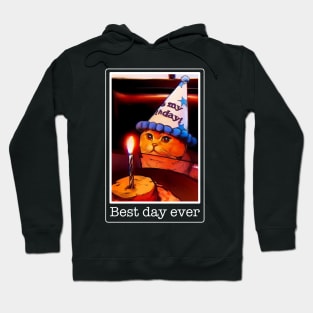 Cat meme birthday funny cake, best day, it's my party Hoodie